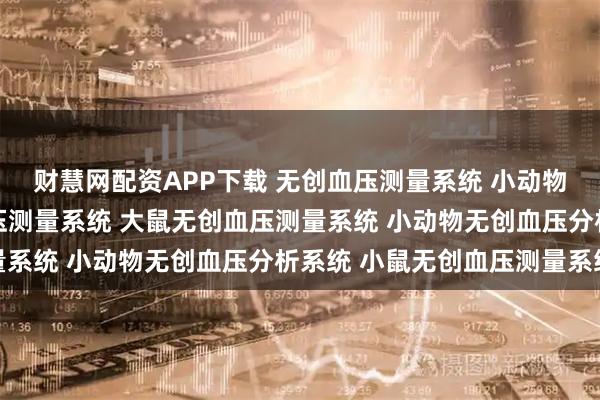 财慧网配资APP下载 无创血压测量系统 小动物无创血压系统 大鼠血压测量系统 大鼠无创血压测量系统 小动物无创血压分析系统 小鼠无创血压测量系统