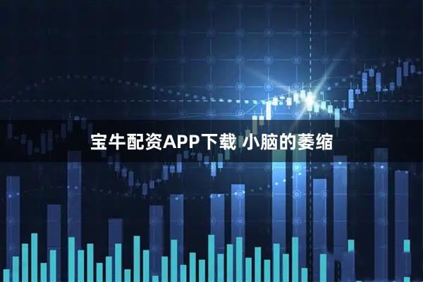 宝牛配资APP下载 小脑的萎缩